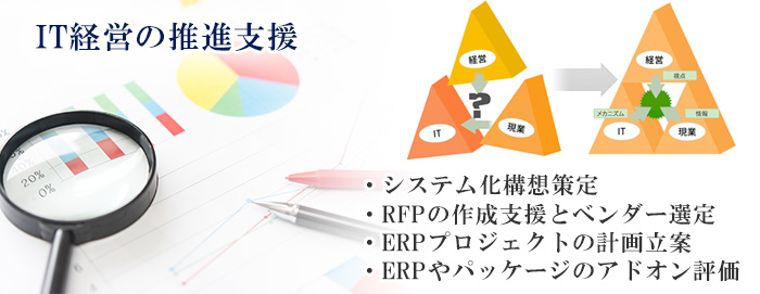 IT経営の推進支援