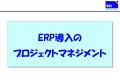 erp-pmo