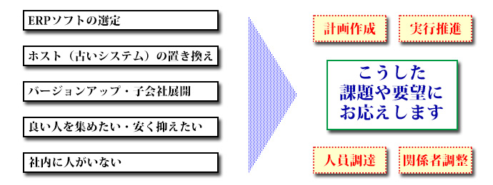 ＥＲＰシステム導入の計画立案支援・プロジェクトマネジメント