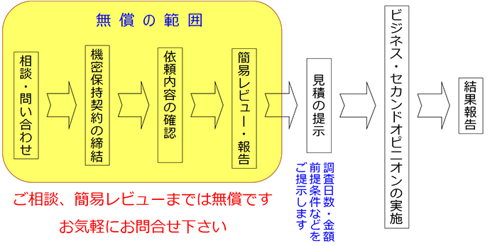 ビジネス・セカンドオピニオン